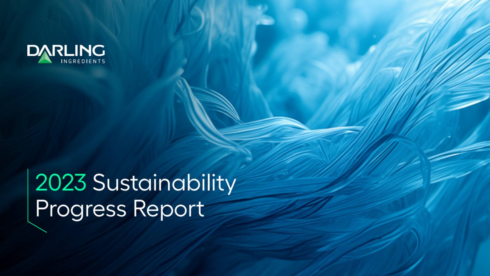 Darling Ingredients Sustainability Report Example