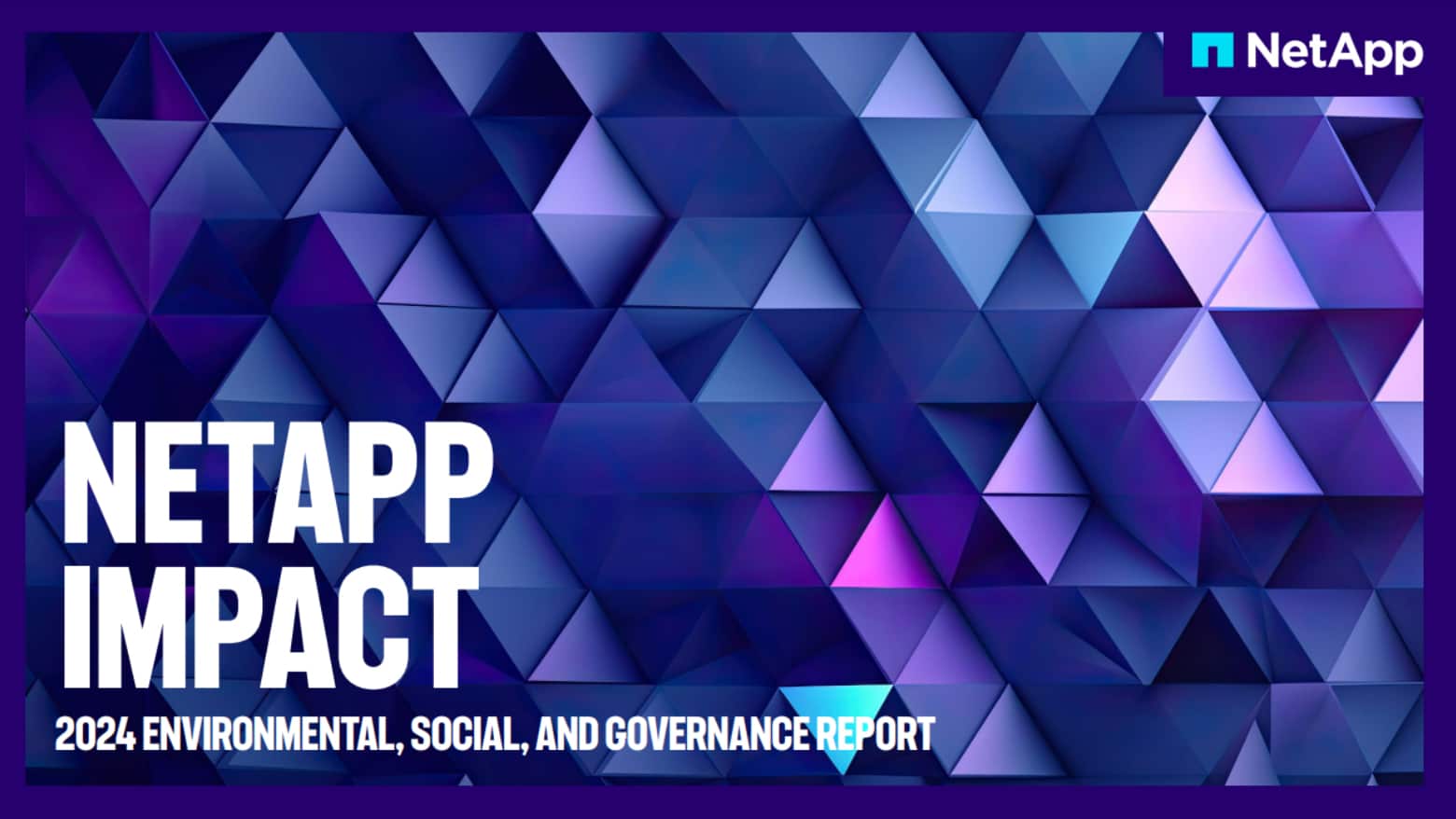 NetApp ESG Impact Report Example