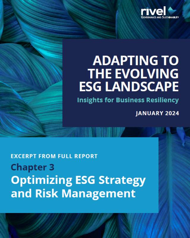 White Paper Excerpt: Optimizing ESG Strategy and Risk Management